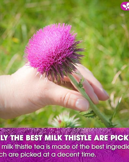 FreshDrinkUS, Premium 75 Milk Thistle Tea Bags, 100% Natural & Pure from Milk Thistle Seeds. Milk Thistle Seed Herbal Tea. Made with Natural Material Tea Bags. No Sugar, No Caffeine, No Gluten, Vegan.