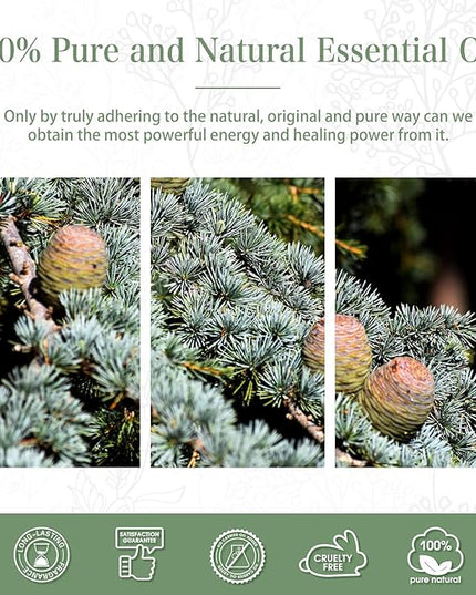 Cedarwood Essential Oil, 3.38Fl.Oz PHATOIL Pure Essential Oil Singles for Aromatherapy Diffusers, Humidifiers, Great for DIY Candle and Soap Making, Gift for Friend