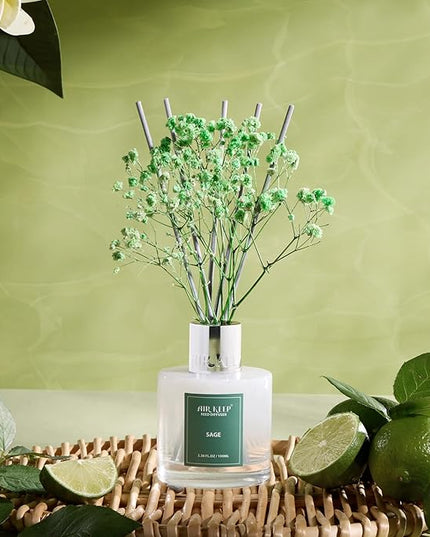 Airkeep Reed Diffuser Set, 3.38 fl oz (100 ml) - Sage Lemon Oil Diffusers with 8 Reed Sticks, Home Fragrance Reed Diffuser for Bathroom Shelf Decor