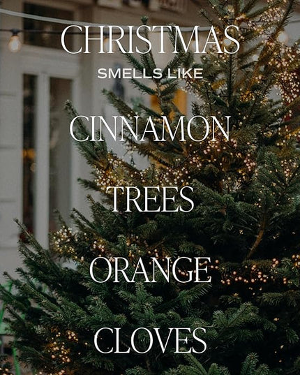 Sweet Water Decor Christmas Reed Diffuser Set - Fresh Cut Trees, Orange, and Cloves Holiday Reed Diffuser for Home with Long Lasting Fragrance - Non-Toxic Oil Reed Diffuser Made in The USA