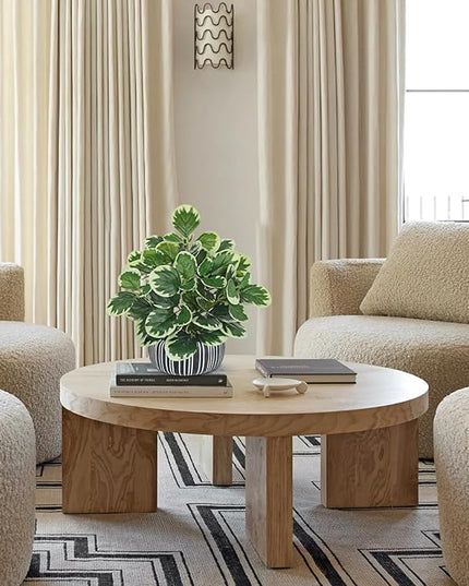 13" Artificial Plants Indoor Small Fake Plant in Ceramic Pot, Silk Plants for Home Decor Indoor, Faux Peperomia Potted Plant for Shelves, Desks, Home, Room, Office, Bedroom, Entryway, Tabletop Decor