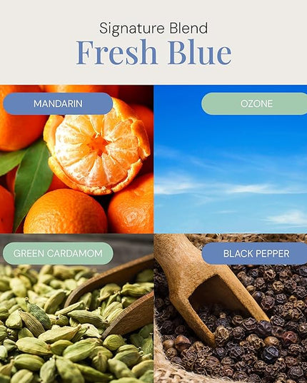 Fresh Blue Aroma Oil, Essential Oils Blend for Diffusers & Scent Machines, Mandarin, Ozone, and Cardamom Blend, Aromatherapy, Cold Air Diffuser Compatible, 100 mL
