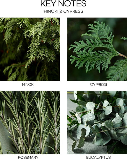CULTURE & NATURE Pure Grade Essential Oil Diffuser (Hinoki & Cypress)