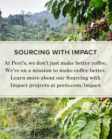 Peet's Coffee, Medium Roast Keurig K-Cup Pods, 100% Arabica Coffee - Cafe Domingo 10 Count (1 Box of 10 Pods)