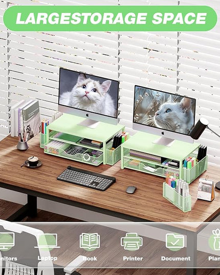 OPNICE Desk Organizers and Accessories, 2-Tier Computer Monitor Stand Riser with Drawer and 2 Pen Holders, Laptop Stand, Office Desk Accessories for Office Supplies, Green