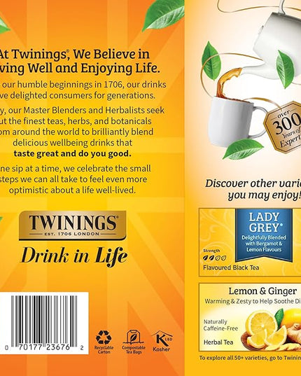 Twinings Earl Grey Black Tea Individually Wrapped Bags, 100 Count (Pack of 1), Flavoured with Citrus & Bergamot, Caffeinated, Enjoy Hot or Iced, 100 Teabags