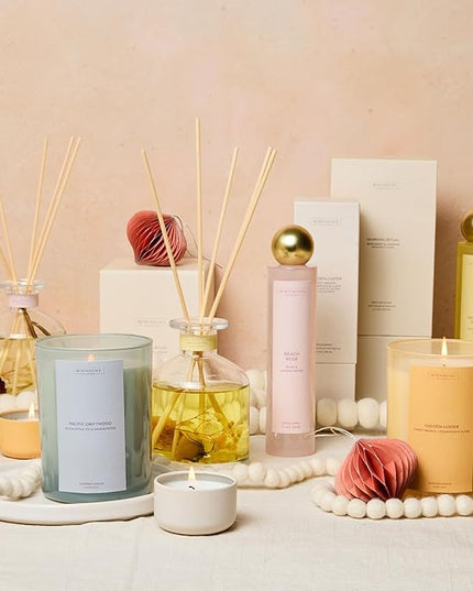 Benevolence LA Reed Diffuser, Orange, Cedarwood & Clove Scent Diffuser for Home with Oil Diffuser Sticks | Sun Kissed Collection Diffusers for Home