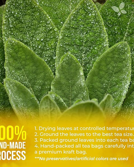 FreshDrinkUS, Premium 25 Mullein Leaf Tea For Lungs, Lung Detox For Smokers, Handmade, 100% Natural & Pure, Mullein Tea, No Sugar, No Caffeine, No Gluten, Vegan
