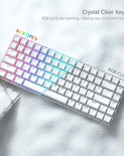 Womier Keycaps - Jelly Keycaps White 60 75 100 Percent, Crystal Shine Through Custom Key caps Set, 118 Keys OEM Profile for 61/68/84/87/98/100 Cherry Gateron MX Mechanical (Backlit White)