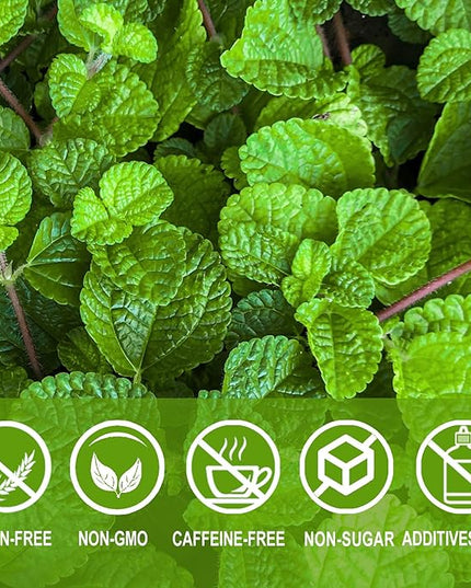 Jarteela - Spearmint Tea Bag, 1.5g x 60 Count - Pure Spearmint Leaves - Natural Herbal Tea Bags for Digestion - Non-GMO - Caffeine-free Tea