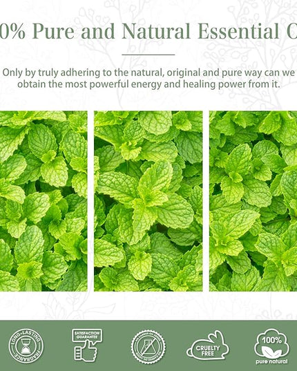 Peppermint Essential Oil, 1.01Fl.Oz (30ML) PHATOIL Pure Essential Oil Singles for Aromatherapy Diffusers, Humidifiers, Great for DIY Candle and Soap Making, Gift for Friend