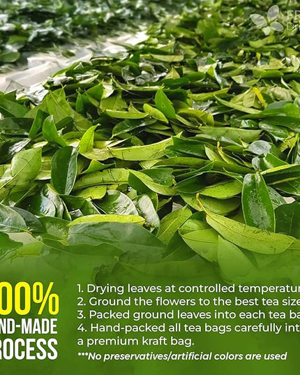 40 Premium Soursop Graviola Leaf Tea Bags, 100% Natural and Pure from Soursop Leaves, Handmade, Made With Natural Materials-Corn Fiber Tea Bag, Sugar/Caffeine/Gluten Free, Hoja Guanabana Tea