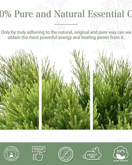 PHATOIL 1.01FL.Oz Tea Tree Essential Oil, for Aromatherapy Diffusers, Humidifiers, Great for DIY Candle and Soap Making, Gift for Friend(30ML)