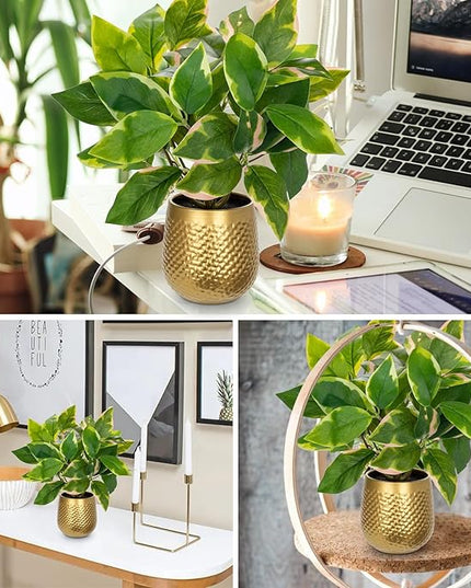 Oairse Articicial Plants Indoor Small Fake Plants in Pots Faux Pothos N‘ Joy Potted Plant Fake Indoor Plants with Gold Pots for Bathroom Living Room Office Desk Shelves
