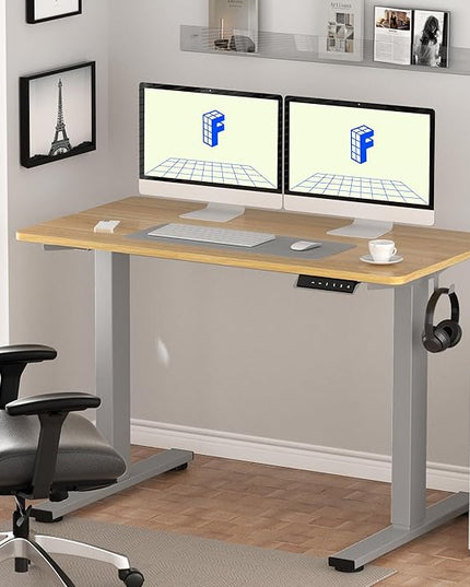 FLEXISPOT EN1 One-Piece Electric Standing Desk, 55 x 28 inch Stand Up Desk for Home Office (Silver Frame + 55" Natural Top, 2 Packages)