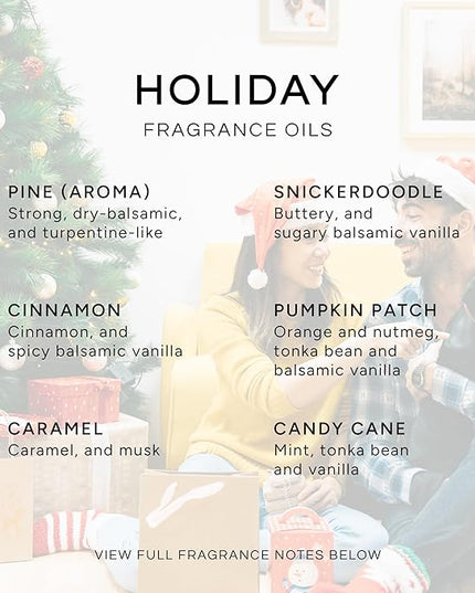 Eternal Essence Oils Holiday Set of 6 Premium Fragrance Oils - Oils for Diffusers, Soap & Candle Making, Aromatherapy - Includes Candy Cane, Pumpkin Patch - for Candle, Soap Making, & More - 10ML