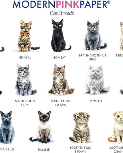 Personalized Stationery Folded Note Cards With Cats, FOLDED Watercolor Cat Stationery Card and Envelopes Set, Custom Gifts For Cat Lovers, Kitten Notecards, Your Choice of Colors and Quantity