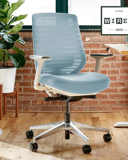 Branch Ergonomic Chair - A Versatile Desk Chair with Adjustable Lumbar Support, Breathable Mesh Backrest, and Smooth Wheels - Experience Optimal Comfort and Support - Light Blue