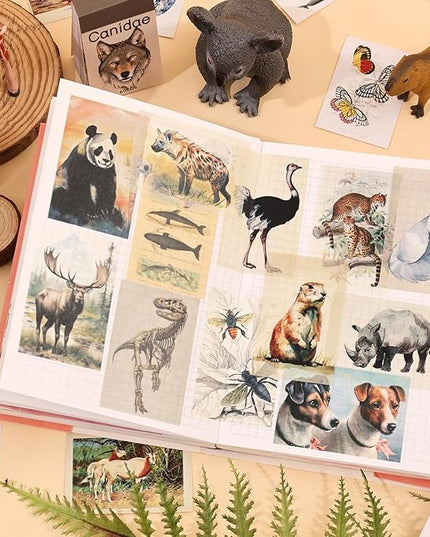 12 Sets 600 Sheets Washi Stickers Book for Journaling, Jungle Animal Sticker, Wild Zoo Sea Animal Aesthetic Scrapbook Dinosaur Sticker Set for Bullet Journal Card Craft Gift Rewards for Kid Notebook