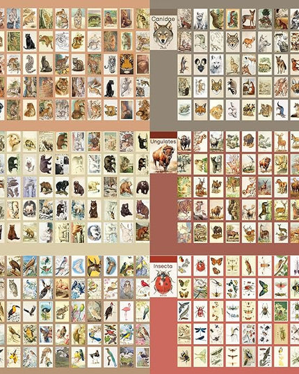 12 Sets 600 Sheets Washi Stickers Book for Journaling, Jungle Animal Sticker, Wild Zoo Sea Animal Aesthetic Scrapbook Dinosaur Sticker Set for Bullet Journal Card Craft Gift Rewards for Kid Notebook