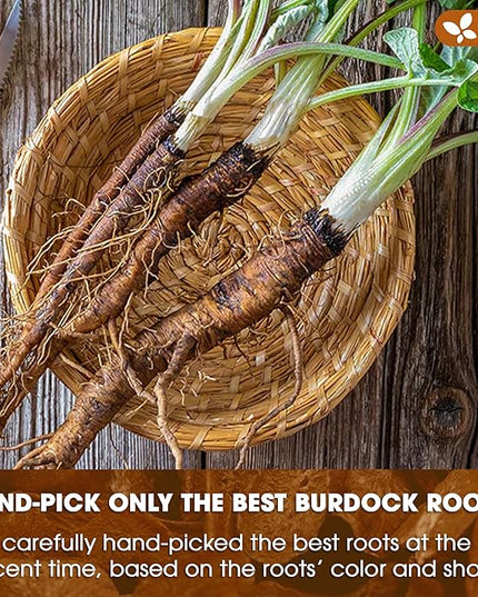 FreshDrinkUS, Premium 120 Burdock Root Tea Bags, 100% Natural & Pure, Herbal Tea. Made with Natural Material Tea Bags. No Sugar, No Caffeine, No Gluten, Vegan.