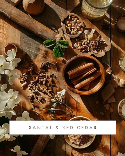 ScentAir Whisper Home Monthly Plug-in Refill, Fragrance Cartridge for Home and Office, Santal & Red Cedar