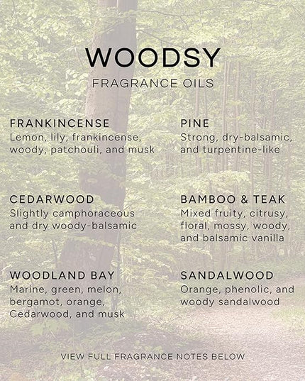 Eternal Essence Oils Woodsy Premium Fragrance Oils Set - Including Pine, Cedar Wood, Sandalwood, Bamboo & Teak, Woodland Bay and Frankincense - Rustic and Woody Scented Oils (6 Pack)