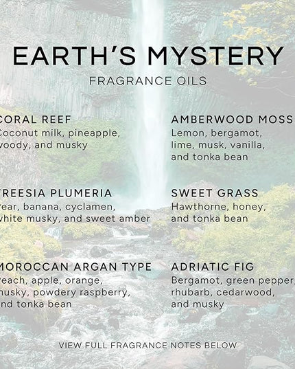 Eternal Essence Oils Earths Mystery Set of 6 Premium Fragrance Oils - Includes Freesia Plumeria, Sweet Grass, Amberwood Moss, Adriatic Fig, Moroccan Argan Type, and Coral Reef Scented Oils - 10ML