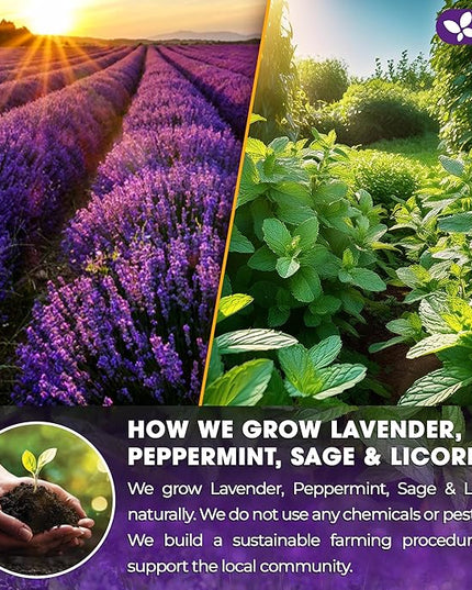FreshDrinkUS, Premium 135 Tea Bags Lavender Mint Tea, 100% Natural, Blend of Lavender, Peppermint, Sage and Licorice. Made with Natural Material Tea Bags. No Sugar, No Caffeine, Vegan.