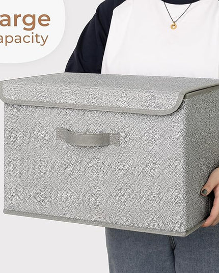GRANNY SAYS Closet Storage Bins, Storage Boxes with Lids, Clothes Organizing Bins, Lidded Baskets for Toys, Clothing, Gray, Extra Large, 2-Pack