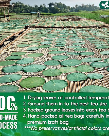 FreshDrinkUS, Premium 30 Lotus Leaf Tea Bags, 100% Natural & Pure from Lotus Leaves. Loose Leaf Lotus Herbal Tea. Made with Eco-Conscious Tea Bags. No Sugar, No Caffeine, No Gluten, Vegan.