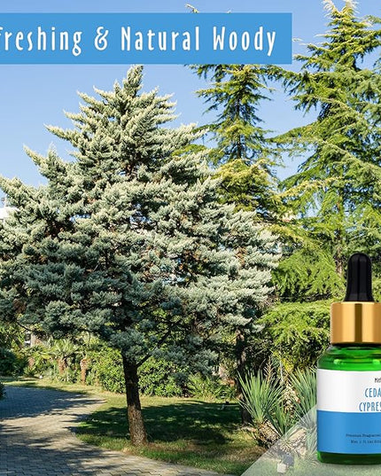 30ml Cedar Cypress Fragrance Oil, MitFlor Refreshing Fragrance Essentials Oil for Soap & Candle Making, Large Size Diffuser Oil Scents, Very Refreshing & Long-Lasting, Woody Scent for Home Fragrance