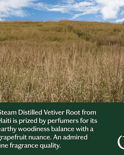 LIVEDROPS 24/7 Balanced Vetiver Essential Oil, Natural Vegan Aromatherapy for Diffuser or Diluted Skin Use, Earthy Woody Scent, Origin Haiti, Made in USA, Clinically Tested, 10ml