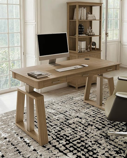 EUREKA ERGONOMIC Standing Desk,60x26 Executive Desk with 3 Drawer Adjustable Height Electric Desk Home Office Computer Desk Modern Workstation with Memory Controller
