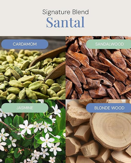 Santal Aroma Oil, Essential Oils Blend for Diffusers & Scent Machines, Sensual Sandalwood & Cardamom, Aromatherapy, Cold Air Diffuser Compatible, 100 mL