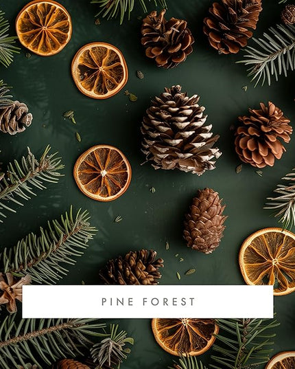 ScentAir Whisper Home Monthly Plug-in Refill, Fragrance Cartridge for Home and Office, Pine Forest