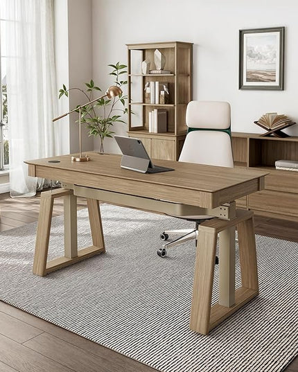 EUREKA ERGONOMIC Standing Desk,60x26 Executive Desk with 3 Drawer Adjustable Height Electric Desk Home Office Computer Desk Modern Workstation with Memory Controller