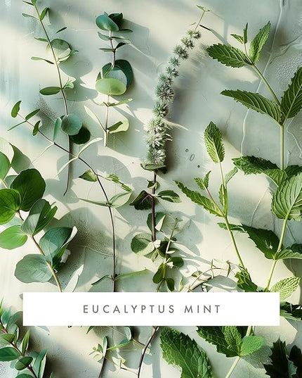 ScentAir Whisper Home Monthly Plug-in Refill, Fragrance Cartridge for Home and Office, Eucalyptus Mint