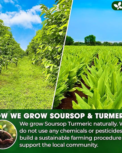 FreshDrinkUS, Premium 40 Soursop Turmeric Tea Bags, 100% Natural, Blend of Soursop Leaves, and Turmeric Root. Made with Natural Material Tea Bags. No Sugar, Vegan.