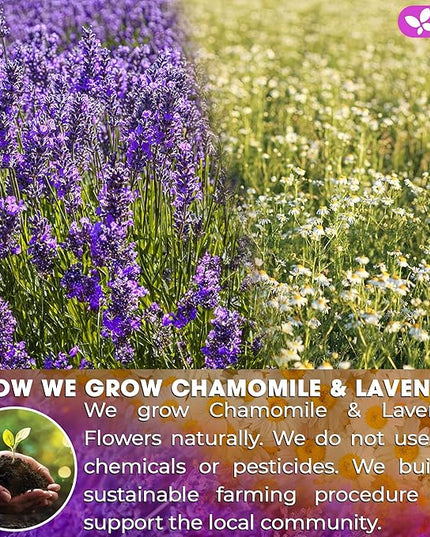 FreshDrinkUS, Premium 60 Chamomile Lavender Tea Bags, Calming Herbal Blend Strong Support for Relaxation & Better Sleep | Naturally Caffeine-Free Bedtime Tea with Soothing Floral Aroma, 100% Natural, Hand-made No Sugar/ Caffeine/ Gluten, Vegan