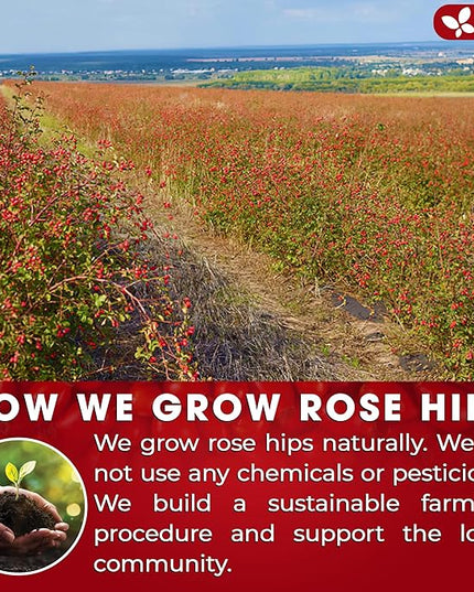 FreshDrinkUS, Premium 135 Rosehip Tea Bags, 100% Natural & Pure from Rose Hip Fruits. Loose Rosehip Herbal Tea. Made with Natural Material Tea Bags. No Sugar, No Caffeine, No Gluten, Vegan.