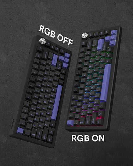 Womier Double Shot PBT Keycaps Set 138 Keys, Cherry Profile Custom Keycaps 60 65 75 100 Percent for 61/64/68/84/87/100/104/108 Retro Gaming Mechanical Keyboard, Black Purple