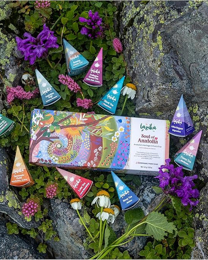 Lazika Tea Variety Pack with Lovely Presentation Box, Black, Green and Herbal Tea Sampler Gift Set, 10 Counts, Premium Collection with Pyramid Infuser Bag, Handcrafted