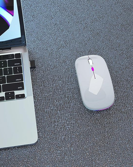 Wireless Bluetooth Mouse Rechargeable Laptop Mice with LED Use Portable(BT5.2 and USB 2.4G) Dual Mode Connection Silent Slim Computer Mouse for Laptop/iPad Tablet/Apple MacBook/PC(Silver)