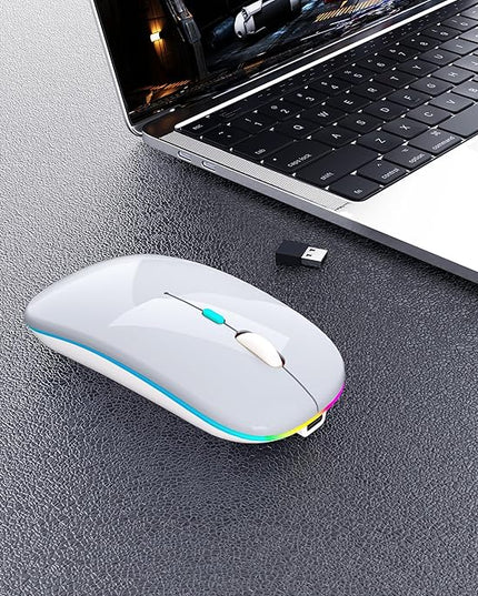 Wireless Bluetooth Mouse Rechargeable Laptop Mice with LED Use Portable(BT5.2 and USB 2.4G) Dual Mode Connection Silent Slim Computer Mouse for Laptop/iPad Tablet/Apple MacBook/PC(Silver)