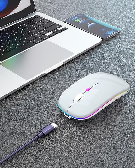 Wireless Bluetooth Mouse Rechargeable Laptop Mice with LED Use Portable(BT5.2 and USB 2.4G) Dual Mode Connection Silent Slim Computer Mouse for Laptop/iPad Tablet/Apple MacBook/PC(Silver)